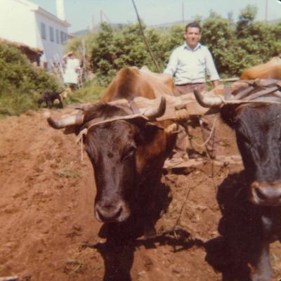 Arando Esteban